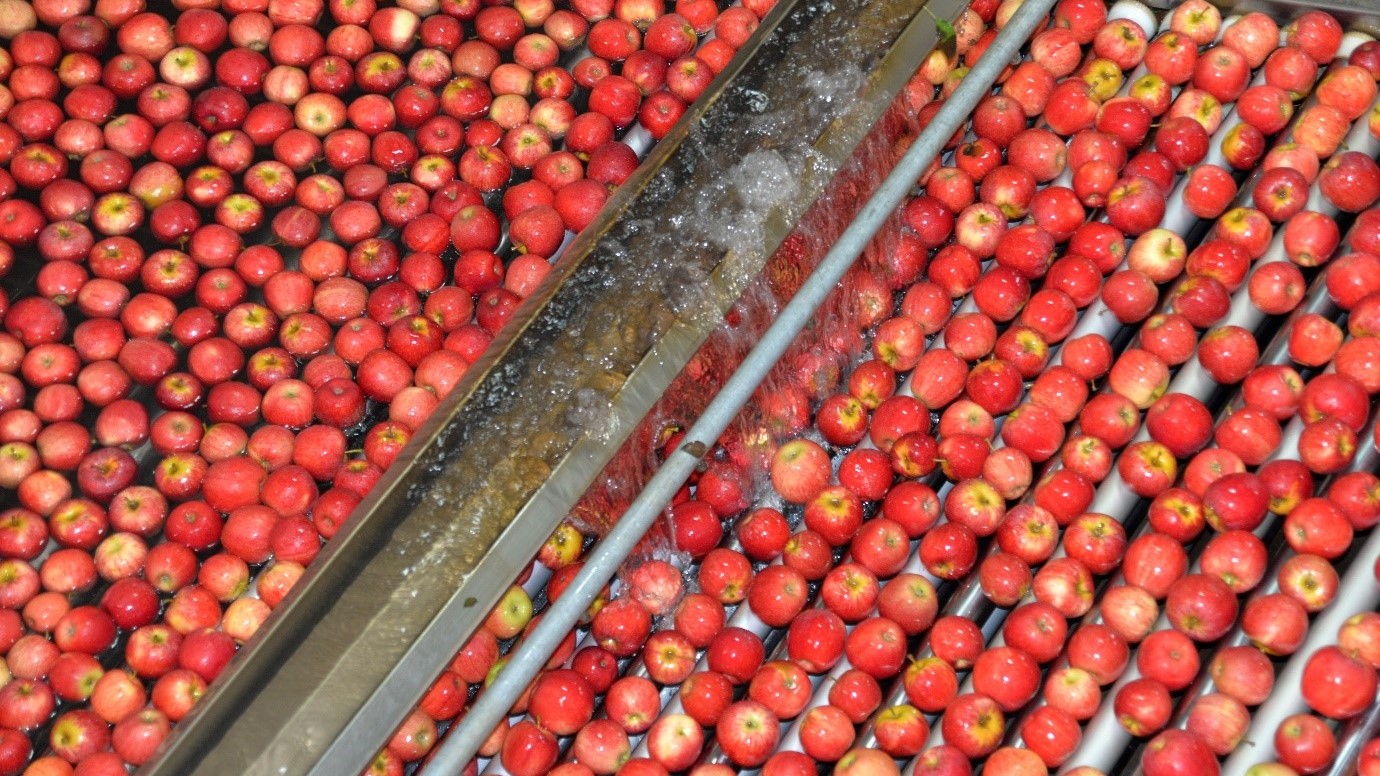 2021 South African Apple Exports to China Show Strong Start Produce